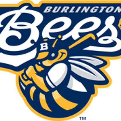 Picture of Burlington Bees